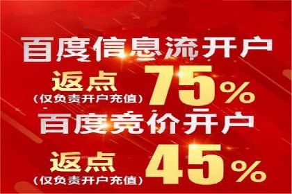 SEM广告优化：成功案例与策略分享